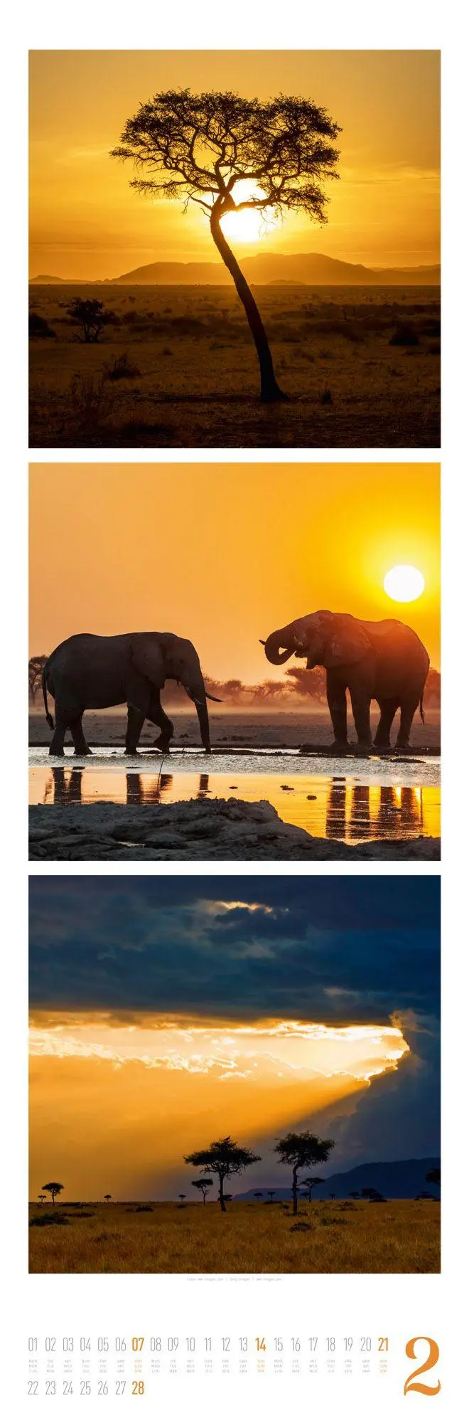 Bild: 9783838427560 | Nature Triplet-Kalender 2027 | Ackermann Kunstverlag GmbH | Kalender