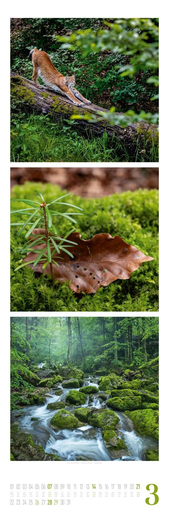 Bild: 9783838427560 | Nature Triplet-Kalender 2027 | Ackermann Kunstverlag GmbH | Kalender