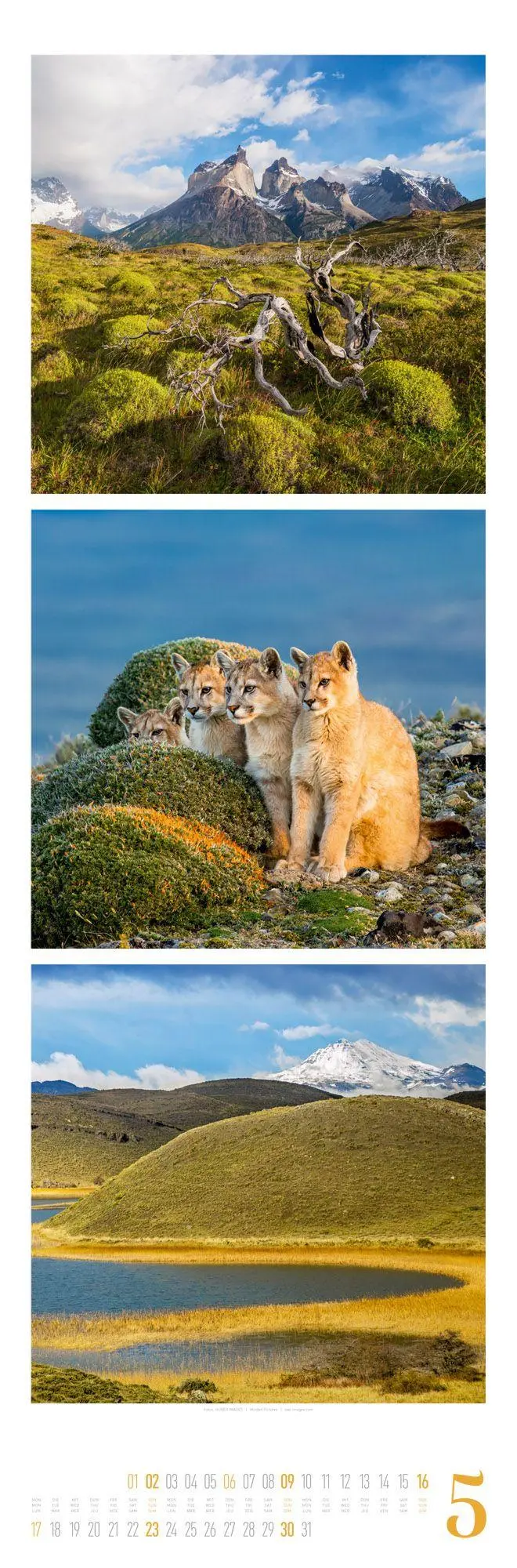 Bild: 9783838427560 | Nature Triplet-Kalender 2027 | Ackermann Kunstverlag GmbH | Kalender