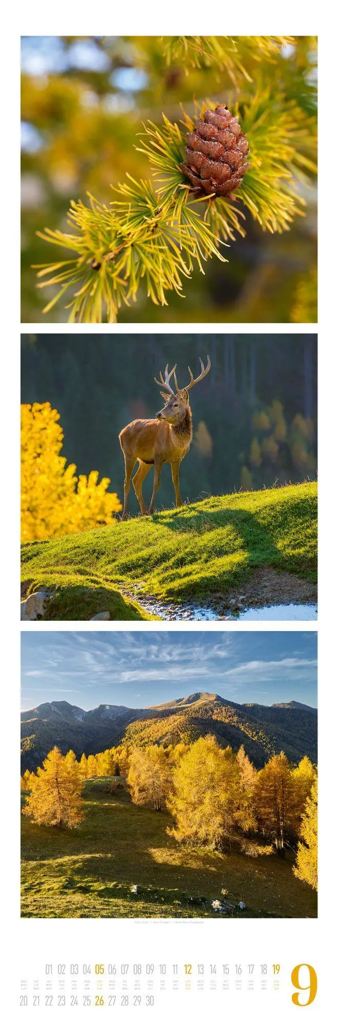 Bild: 9783838427560 | Nature Triplet-Kalender 2027 | Ackermann Kunstverlag GmbH | Kalender