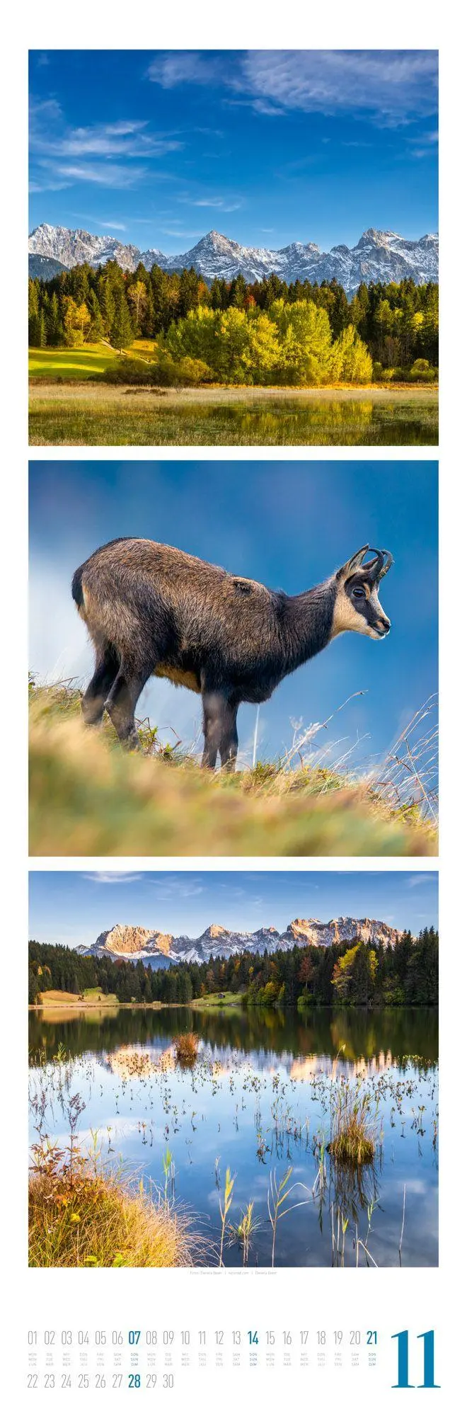 Bild: 9783838427560 | Nature Triplet-Kalender 2027 | Ackermann Kunstverlag GmbH | Kalender