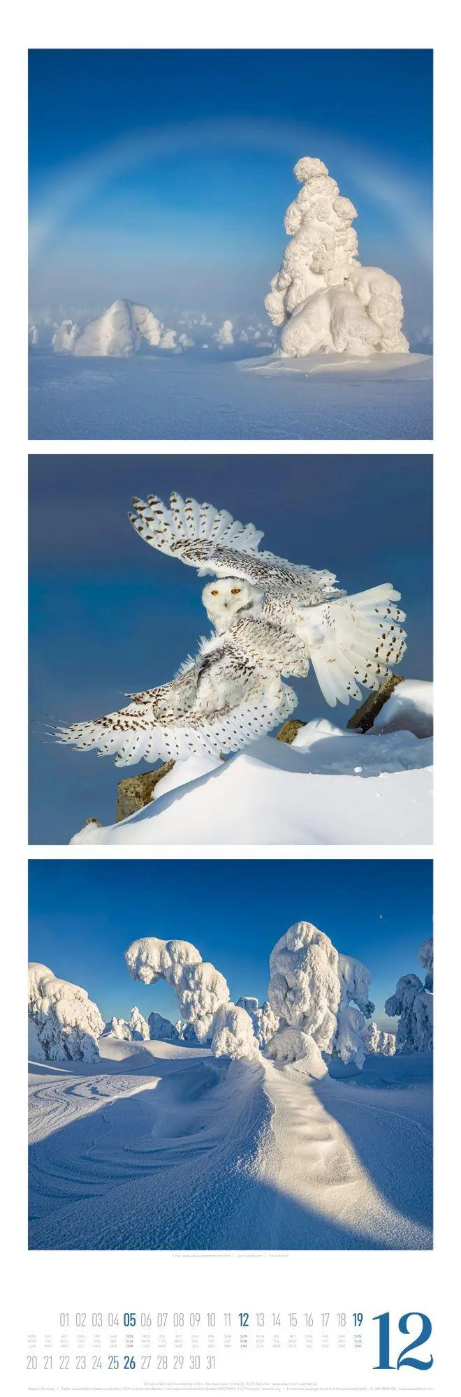 Bild: 9783838427560 | Nature Triplet-Kalender 2027 | Ackermann Kunstverlag GmbH | Kalender