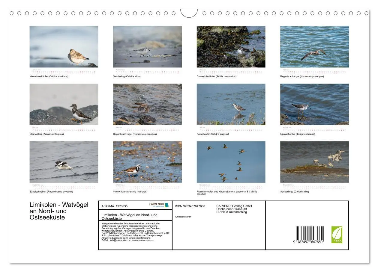 Bild: 9783457647660 | Limikolen - Watvögel an Nord- und Ostseeküste (Wandkalender 2026...