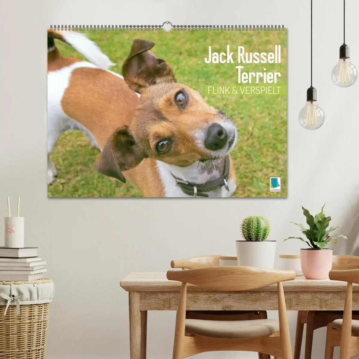 Bild: 9783516597660 | Jack Russell Terrier: flink und verspielt (Wandkalender 2026 DIN A2...