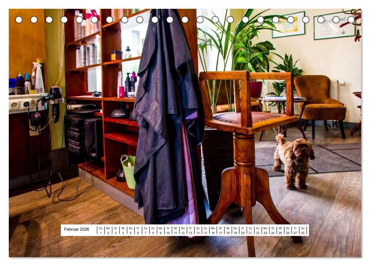 Bild: 9783516667660 | Friseursalons rund um den Globus (Tischkalender 2026 DIN A5 quer),...