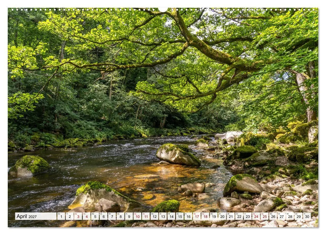 Bild: 9783569687660 | Urlaubsregion Schwarzwald (Wandkalender 2027 DIN A2 quer), CALVENDO...