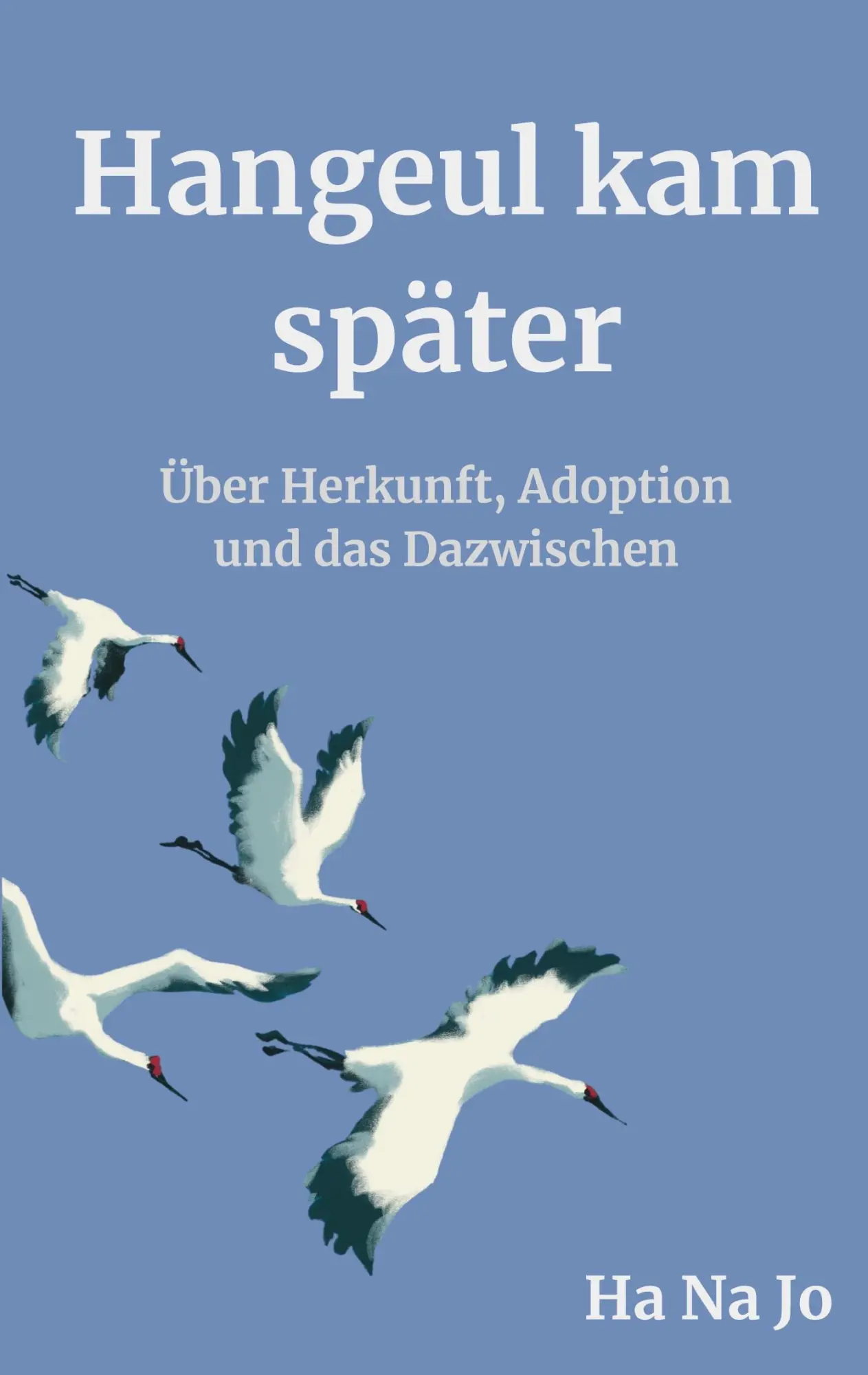 Cover: 9783695177660 | Hangeul kam später | Über Herkunft, Adoption und das Dazwischen | Jo