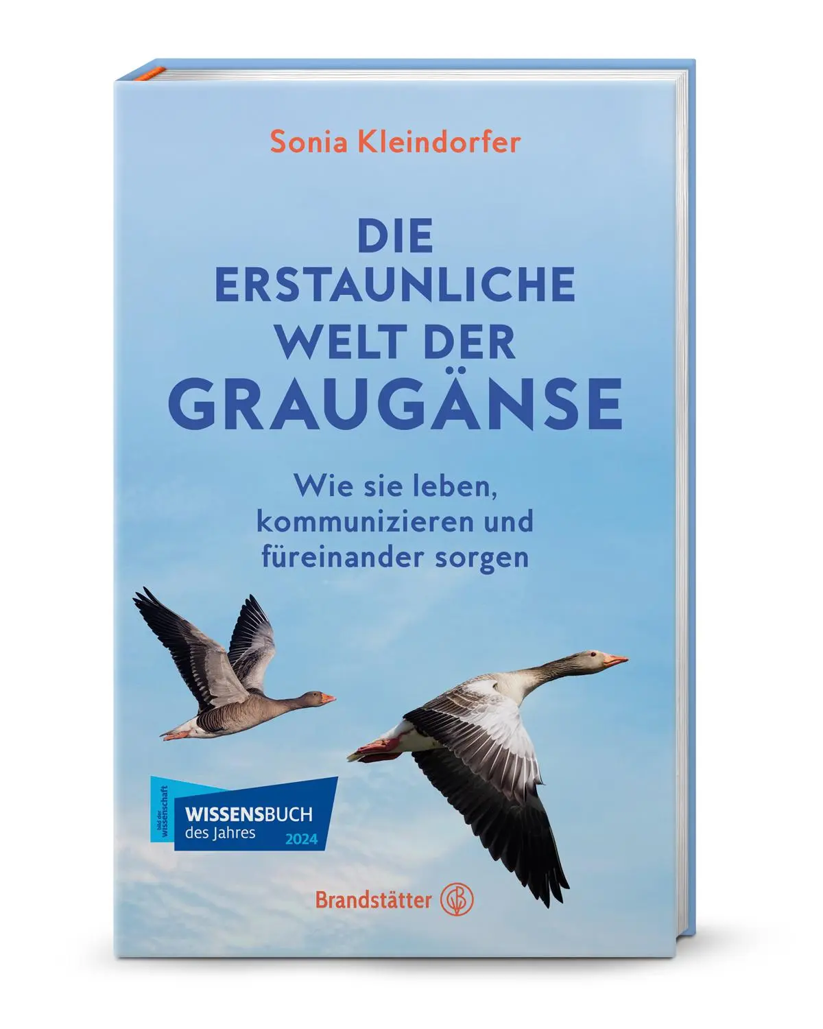 Cover: 9783710607660 | Die erstaunliche Welt der Graugänse | Sonia Kleindorfer | Buch | 2024