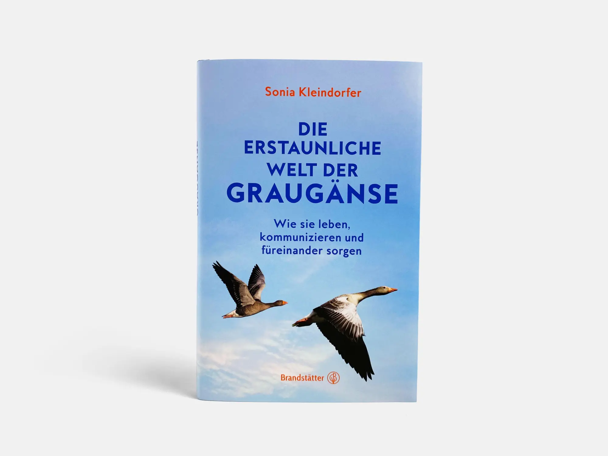 Bild: 9783710607660 | Die erstaunliche Welt der Graugänse | Sonia Kleindorfer | Buch | 2024