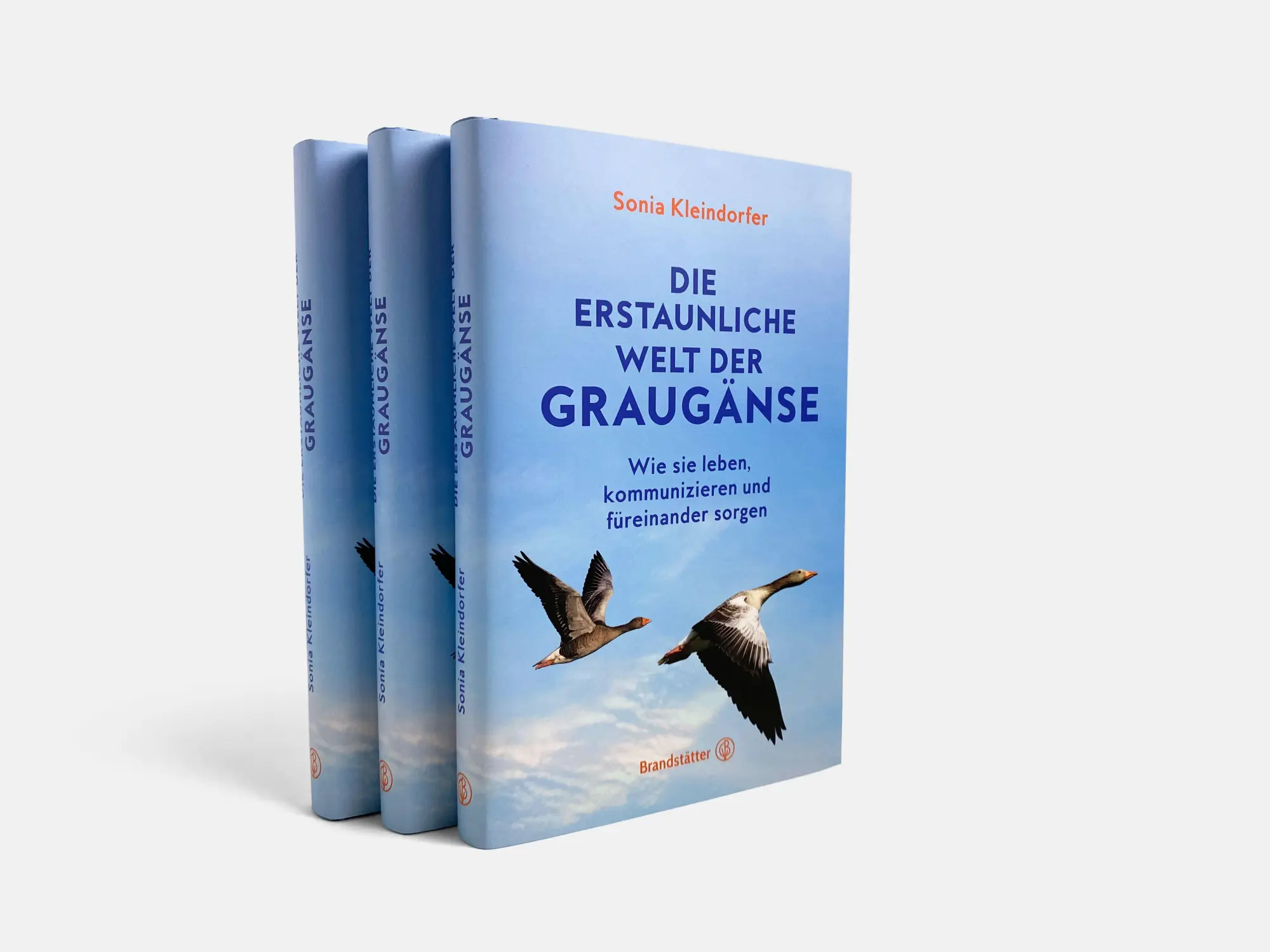 Bild: 9783710607660 | Die erstaunliche Welt der Graugänse | Sonia Kleindorfer | Buch | 2024