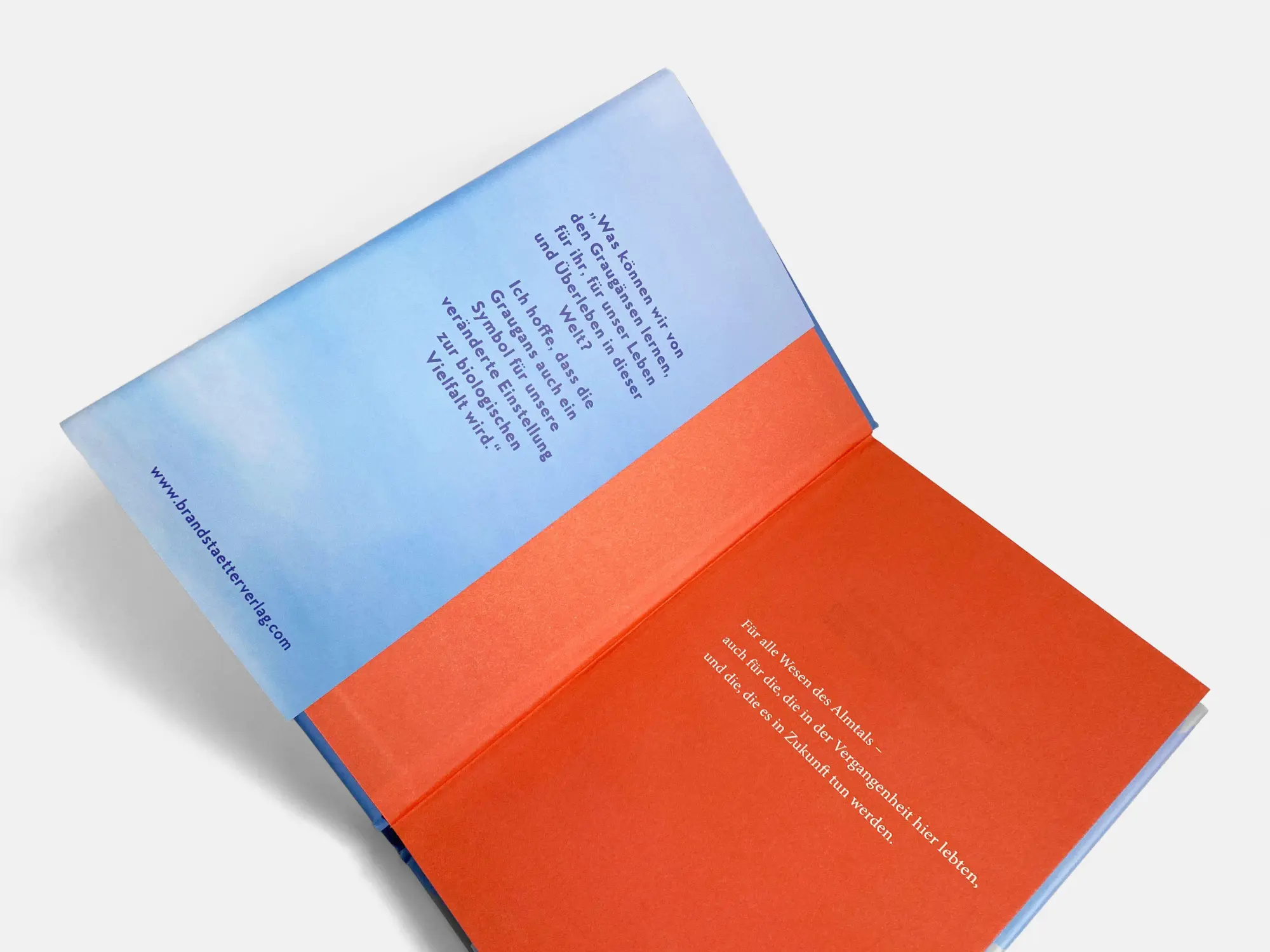 Bild: 9783710607660 | Die erstaunliche Welt der Graugänse | Sonia Kleindorfer | Buch | 2024