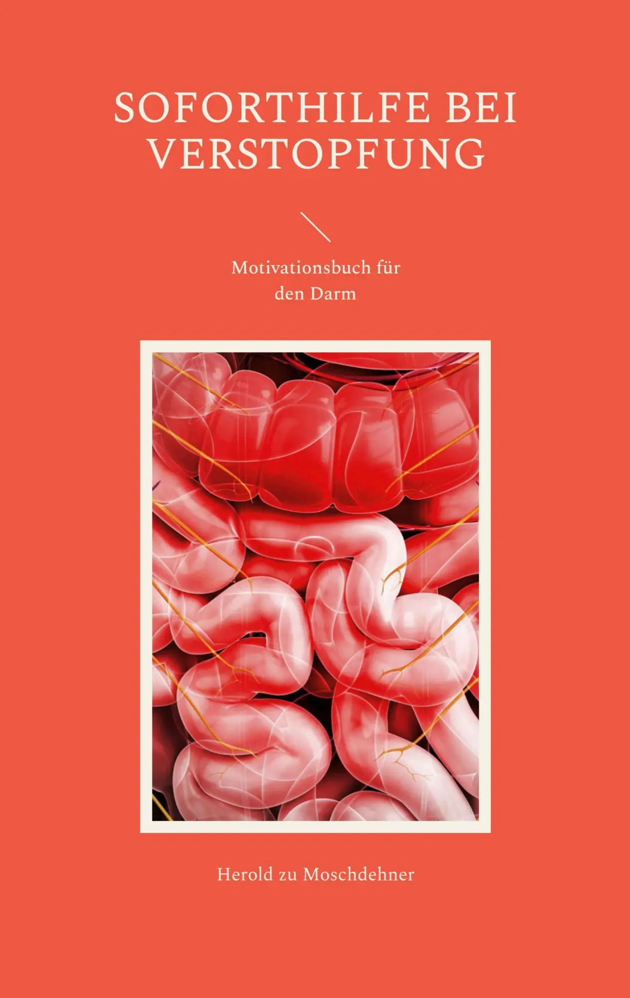 Cover: 9783756247660 | Soforthilfe bei Verstopfung | Motivationsbuch für den Darm | Buch