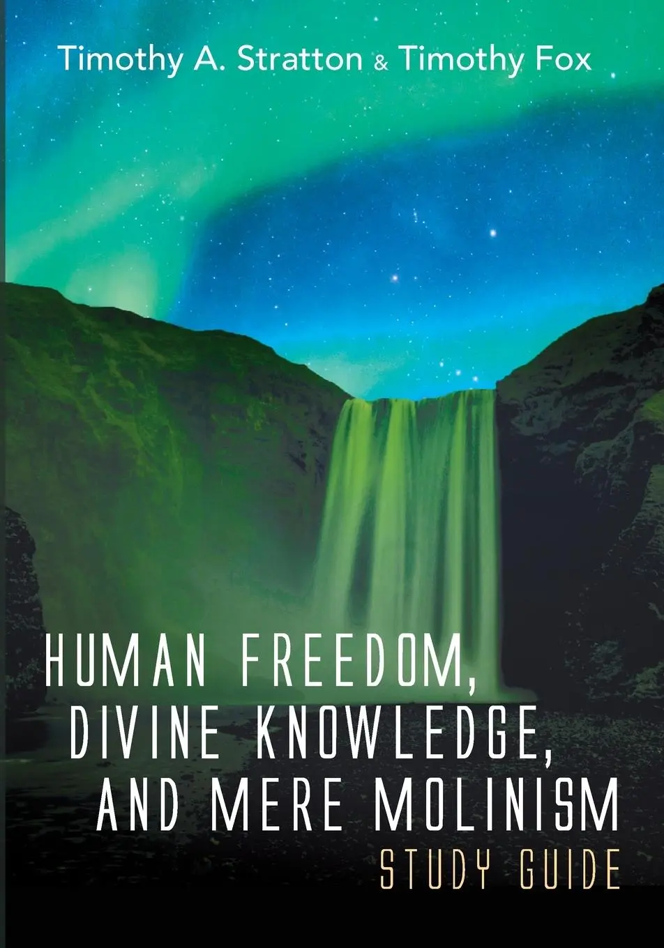 Cover: 9781666717860 | Human Freedom, Divine Knowledge, and Mere Molinism Study Guide | Buch