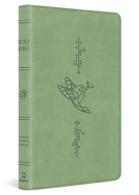 Cover: 9798874907860 | ESV Kid's Bible, Thinline, Red Letter | Esv Bibles | Buch | Englisch