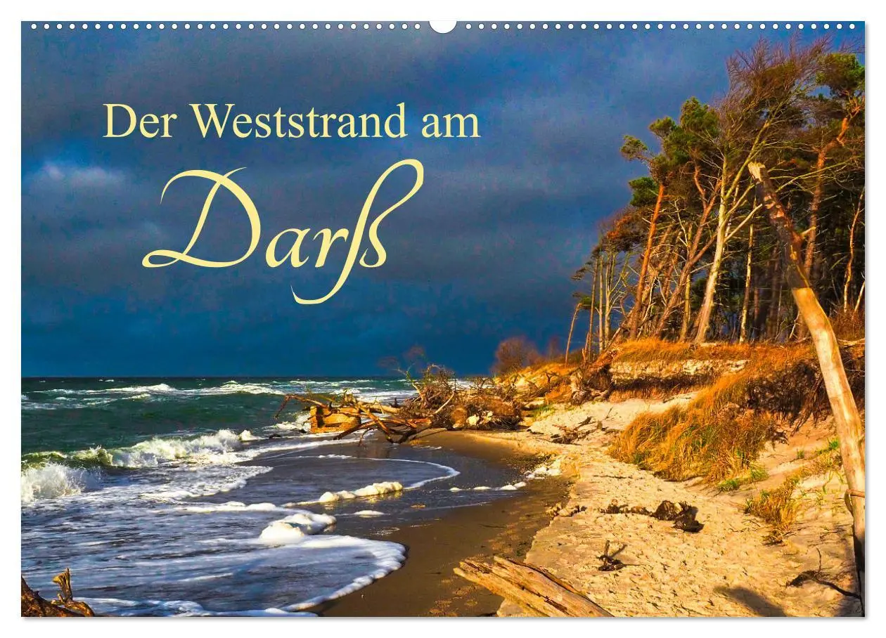 Cover: 9783457307960 | Der Weststrand am Darß (Wandkalender 2026 DIN A2 quer), CALVENDO...