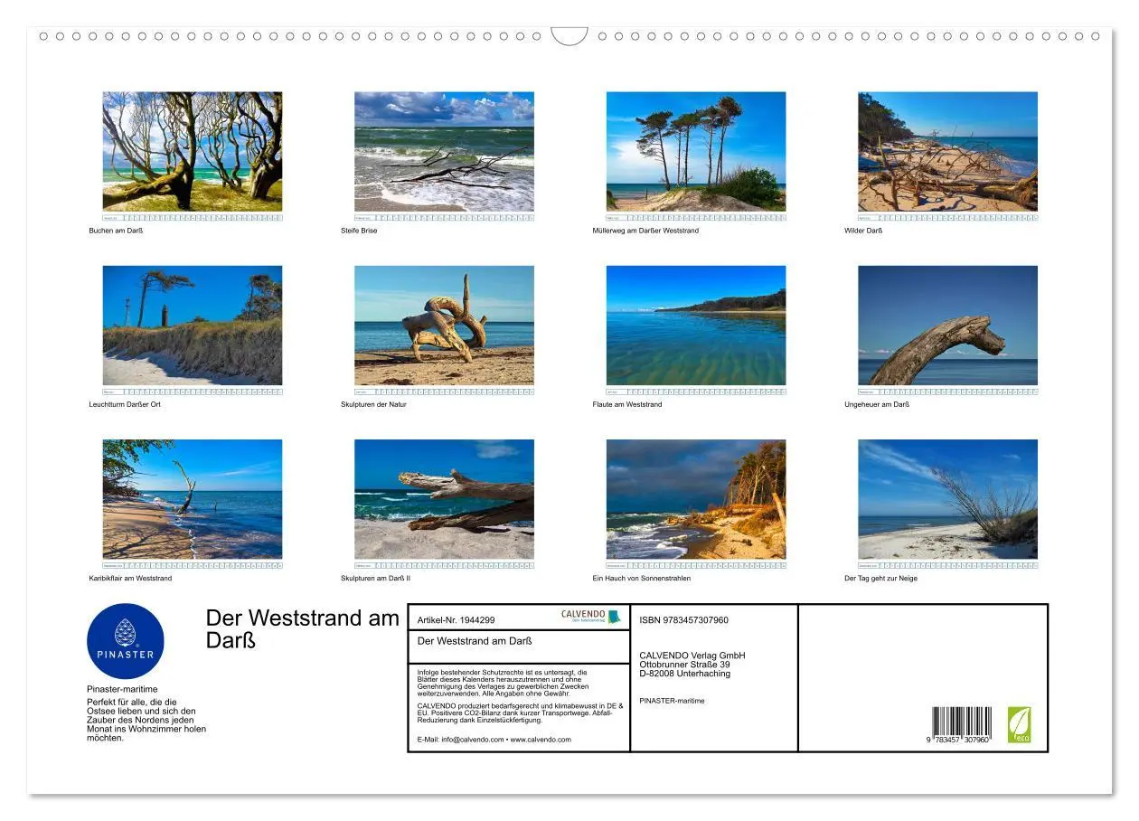 Bild: 9783457307960 | Der Weststrand am Darß (Wandkalender 2026 DIN A2 quer), CALVENDO...
