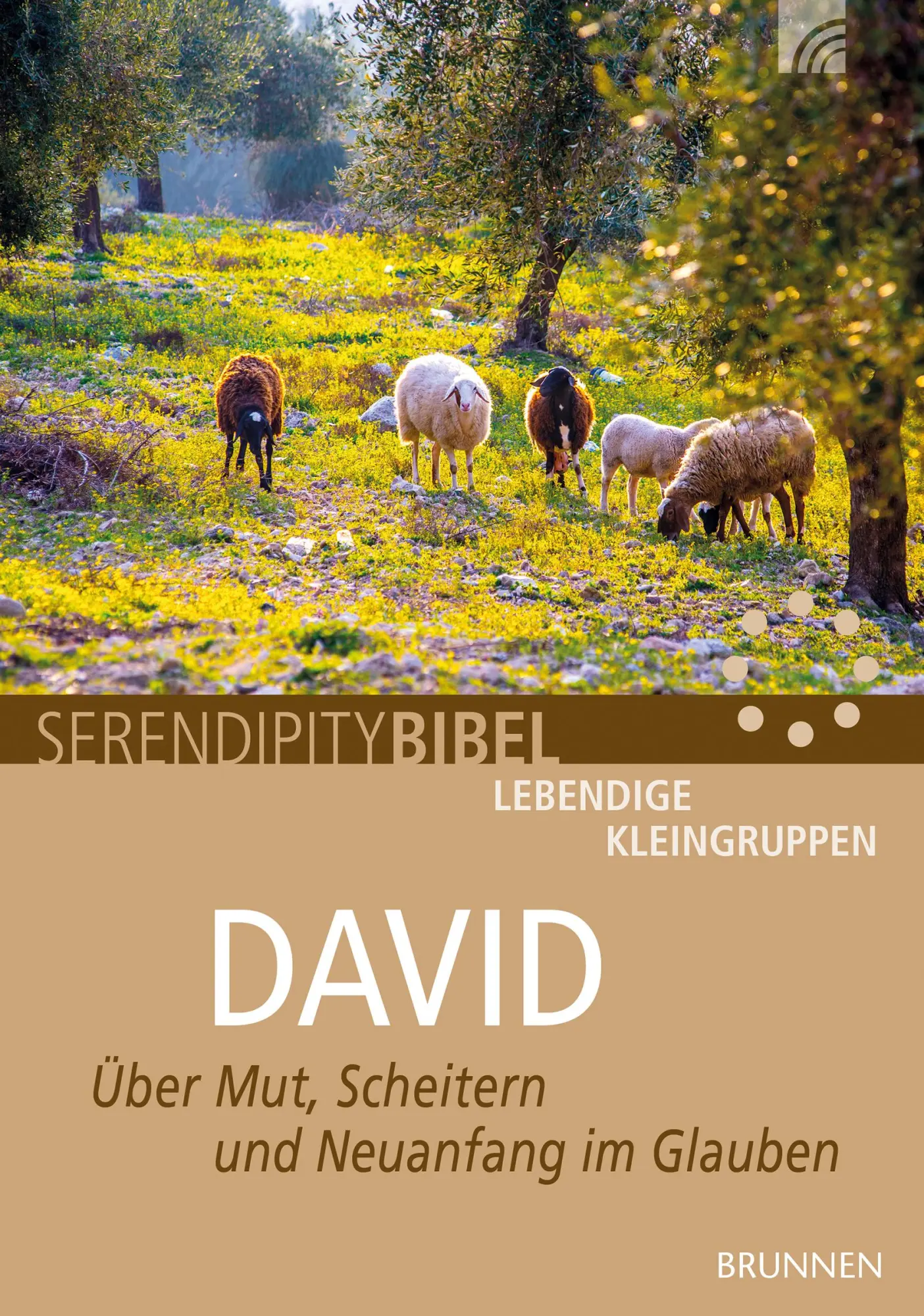 Cover: 9783765507960 | David | Über Mut, Scheitern und Neuanfang im Glauben | Clausen | 60 S.