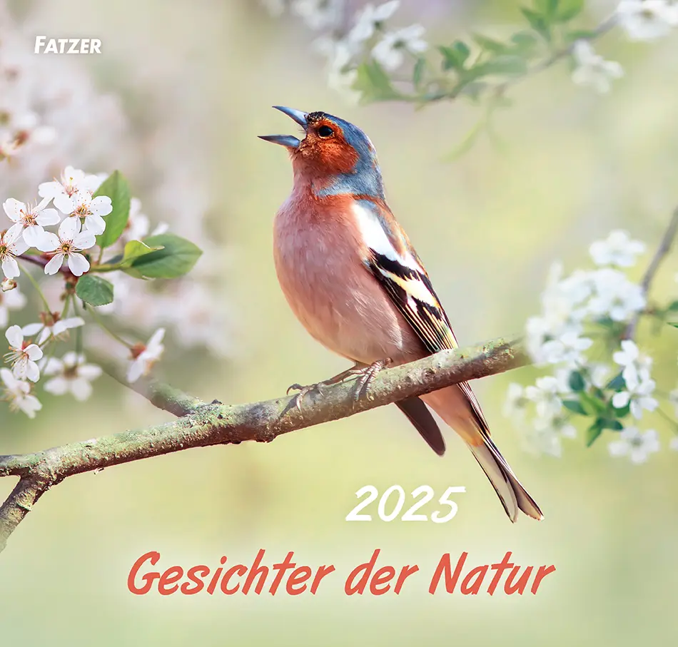 Cover: 9783866037960 | Gesichter der Natur 2025 | Wandkalender | Sonstiges | Deutsch | 2025