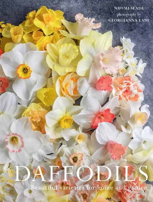 Cover: 9781423668060 | Daffodils | Beautiful Varieties for Home and Garden | Naomi Slade
