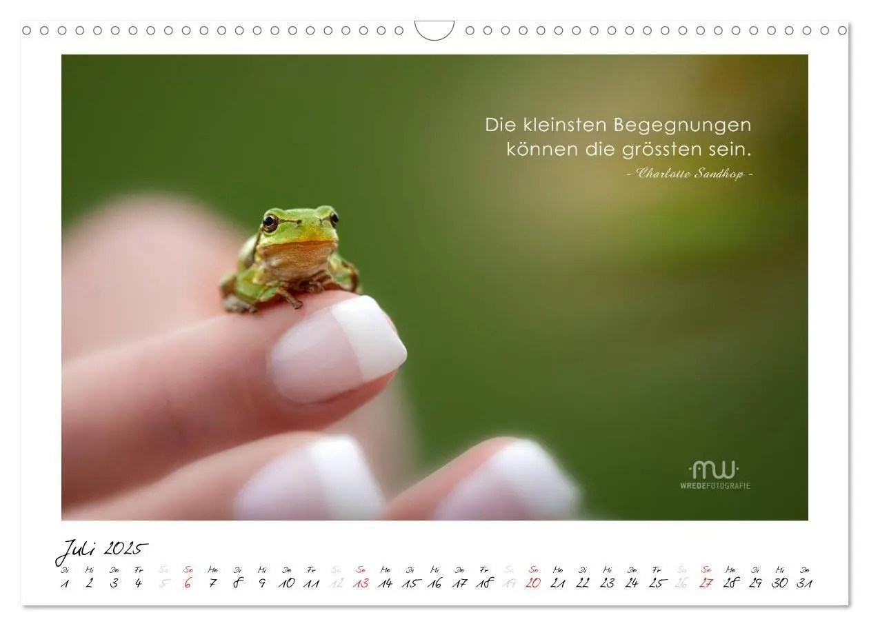 Bild: 9783435658060 | Gedanken... Bildkalender mit Sprüchen (Wandkalender 2025 DIN A3...