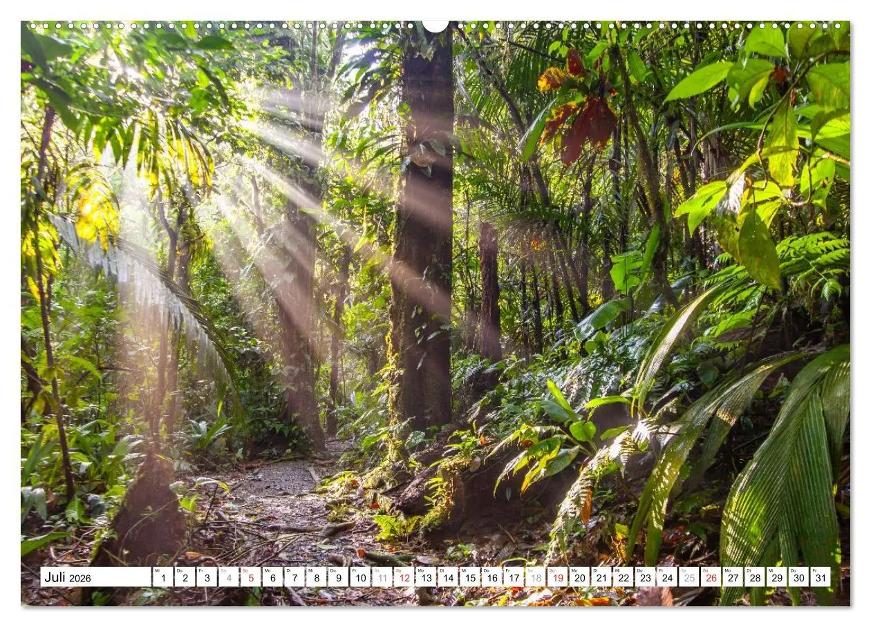 Bild: 9783457298060 | Costa Rica (Wandkalender 2026 DIN A2 quer), CALVENDO Monatskalender