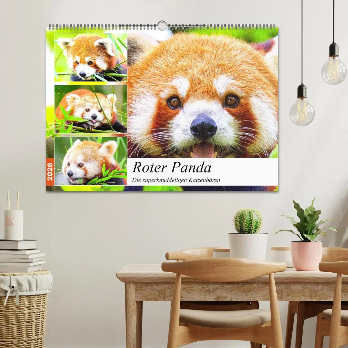 Bild: 9783457748060 | Roter Panda. Die superknuddeligen Katzenbären (Wandkalender 2026...