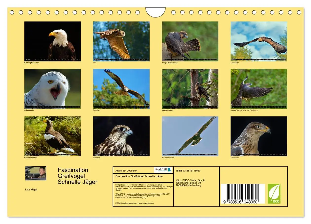 Bild: 9783516148060 | Faszination Greifvögel Schnelle Jäger (Wandkalender 2026 DIN A4...