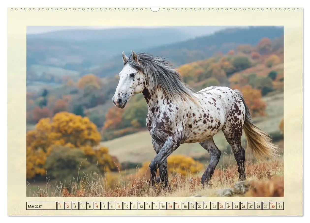 Bild: 9783516768060 | Knabstrupper Poesie. Gescheckte Eleganz im Farmsommer (Wandkalender...