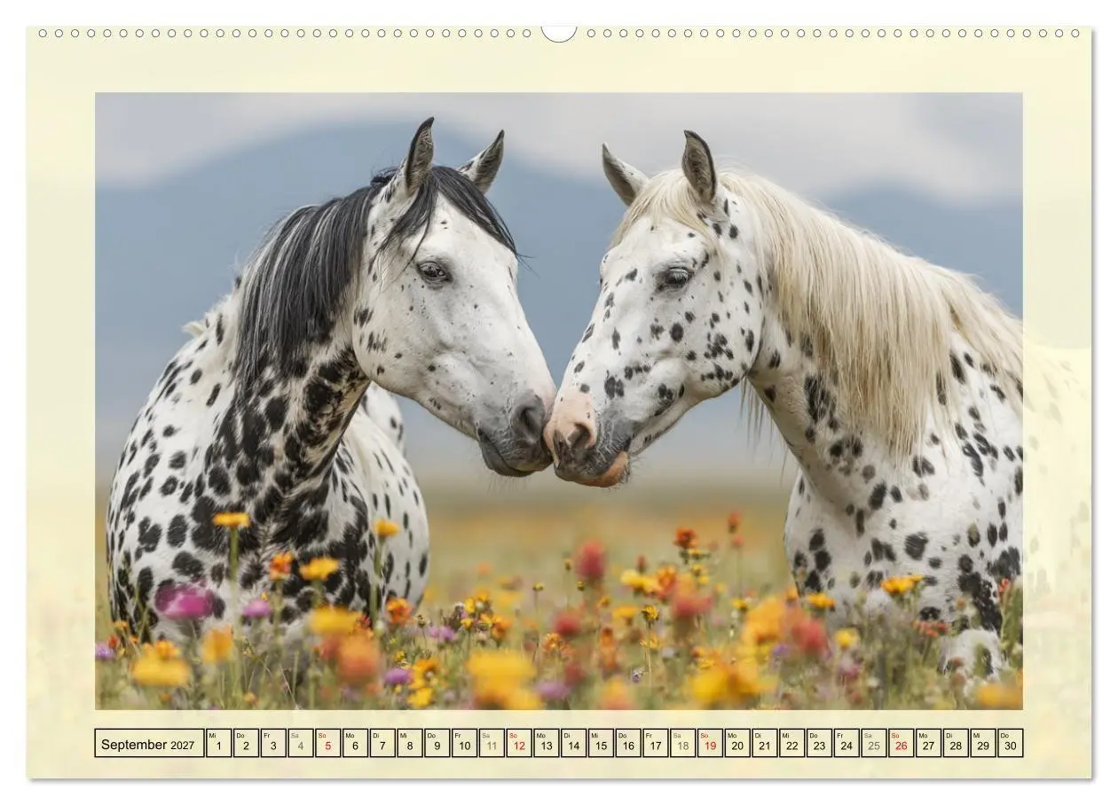 Bild: 9783516768060 | Knabstrupper Poesie. Gescheckte Eleganz im Farmsommer (Wandkalender...
