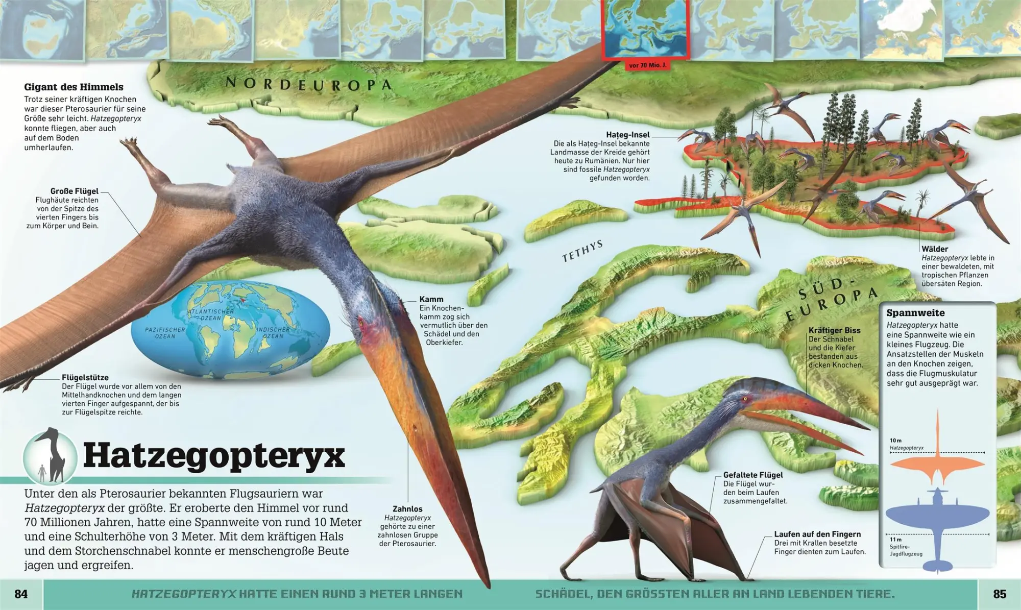 Bild: 9783831038060 | Dinosaurier-Atlas | DK Verlag - Kids | Buch | Wo in aller Welt | 2019