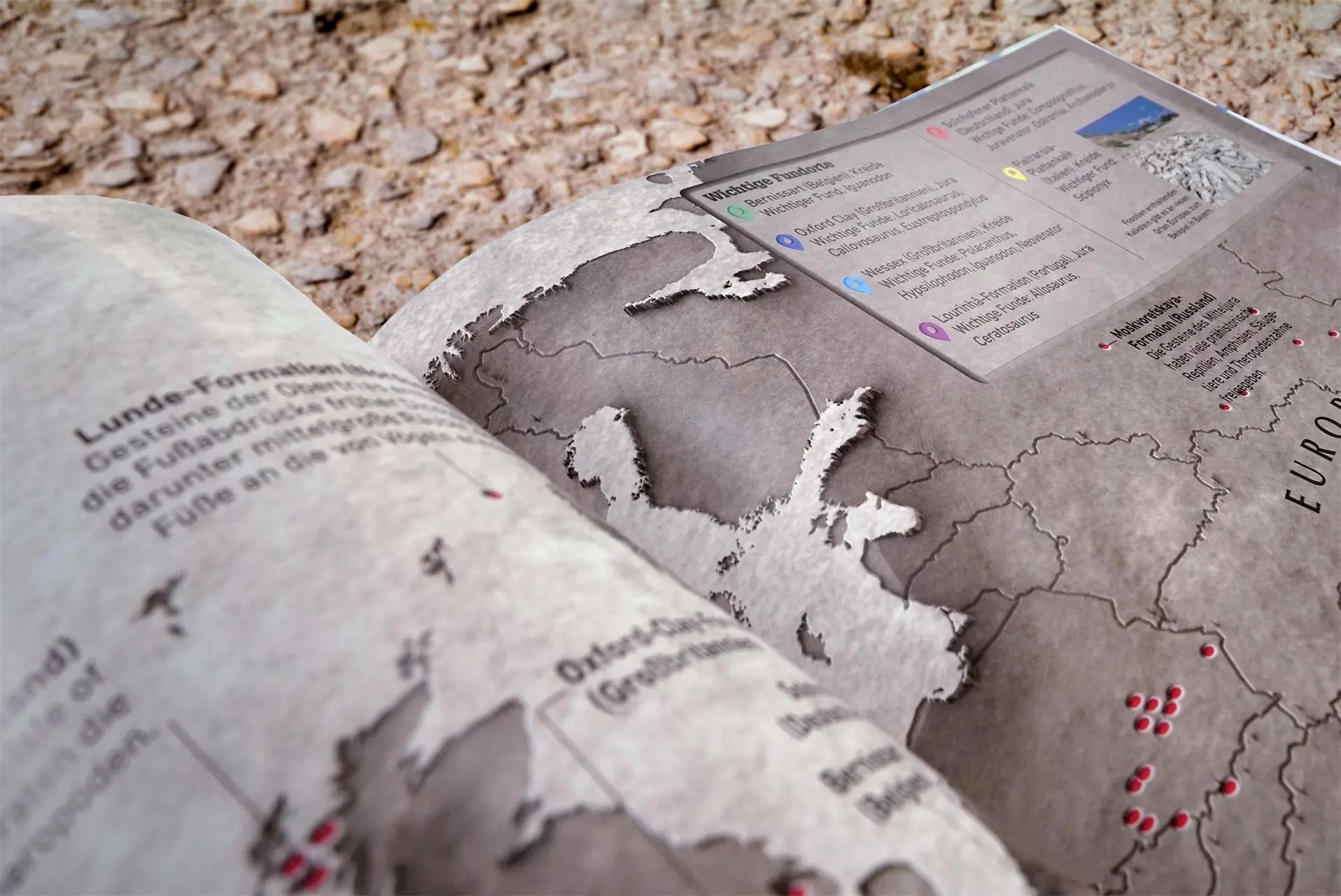 Bild: 9783831038060 | Dinosaurier-Atlas | DK Verlag - Kids | Buch | Wo in aller Welt | 2019