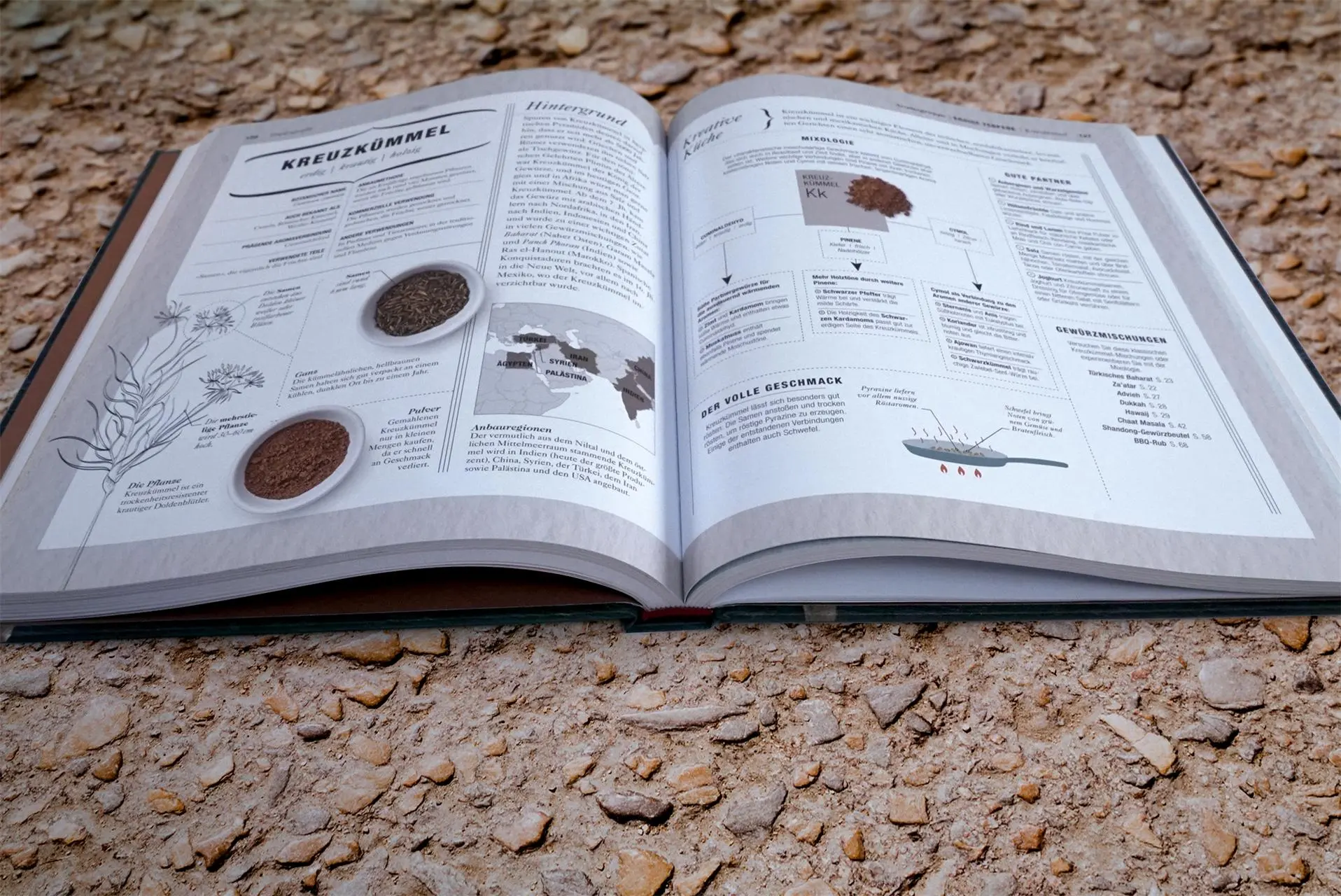 Bild: 9783831038060 | Dinosaurier-Atlas | DK Verlag - Kids | Buch | Wo in aller Welt | 2019