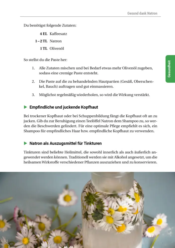 Bild: 9783946658160 | Das Natron-Handbuch | Taschenbuch | Hausmittel-Handbücher | 192 S.