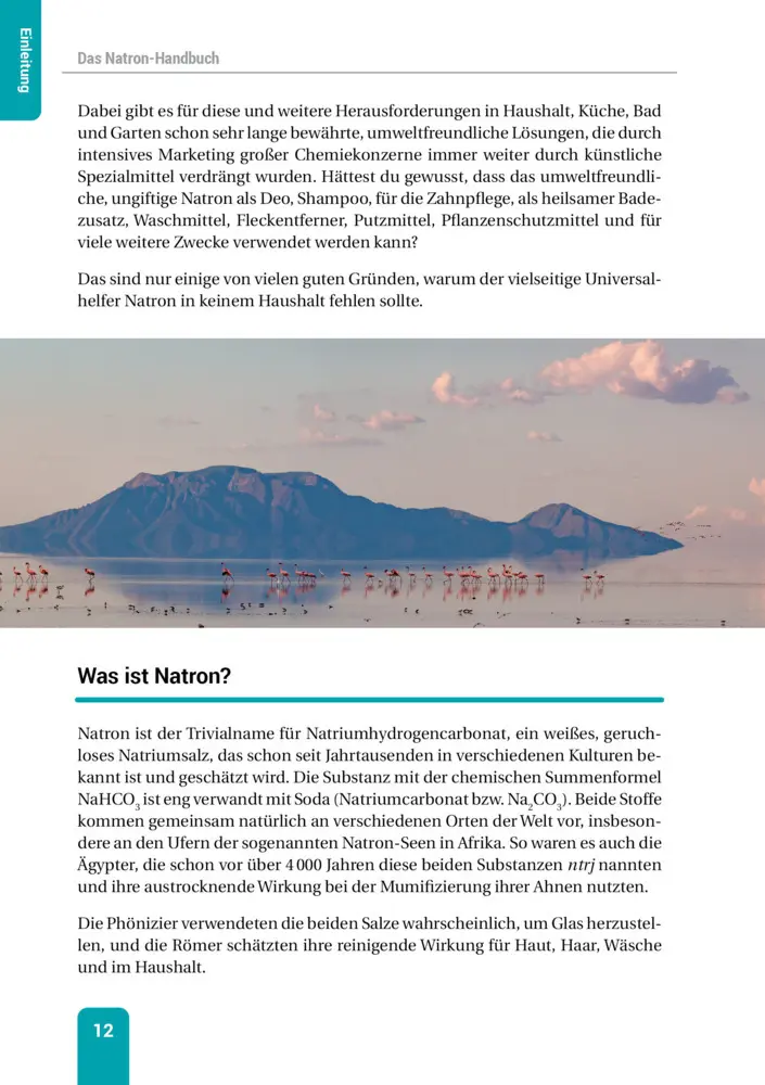 Bild: 9783946658160 | Das Natron-Handbuch | Taschenbuch | Hausmittel-Handbücher | 192 S.