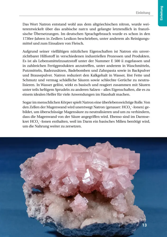 Bild: 9783946658160 | Das Natron-Handbuch | Taschenbuch | Hausmittel-Handbücher | 192 S.