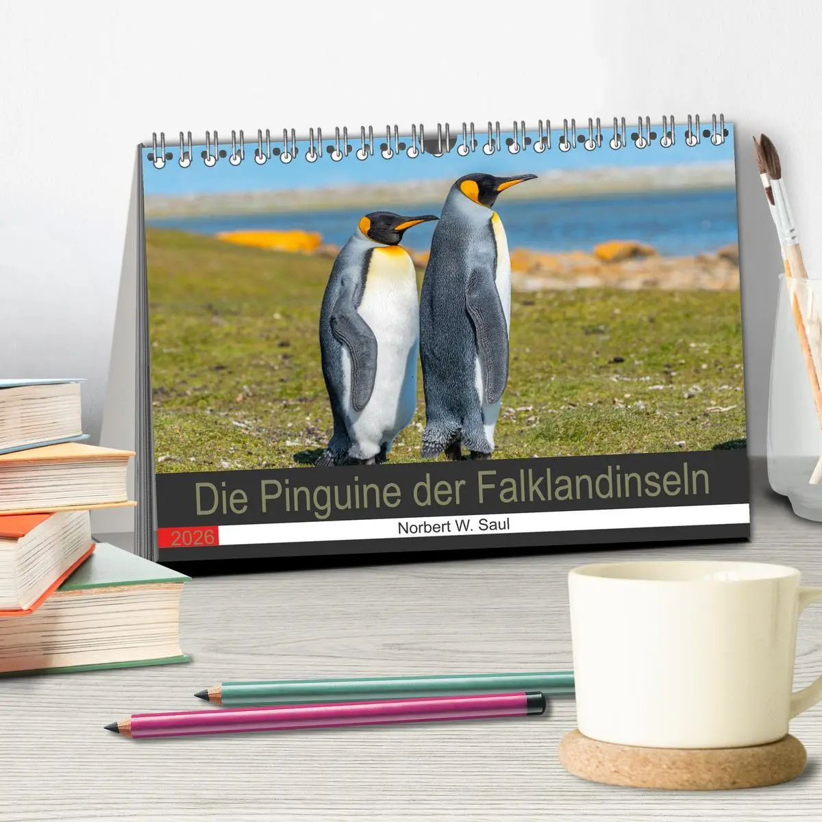 Bild: 9783457658260 | Die Pinguine der Falklandinseln (Tischkalender 2026 DIN A5 quer),...