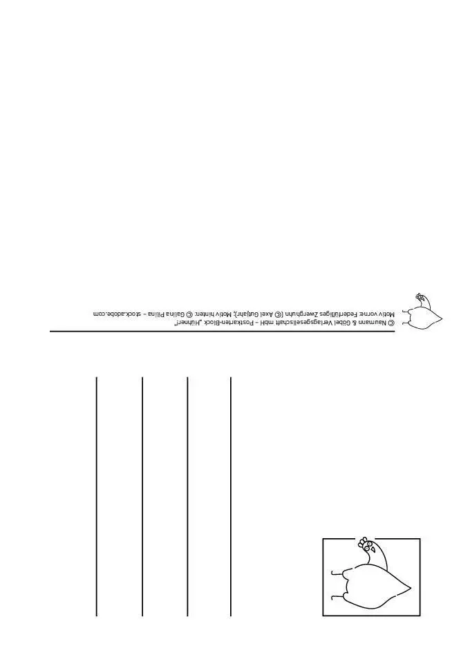 Bild: 9783625198260 | Postkartenblock Hühner | Taschenbuch | 42 S. | Deutsch | 2025