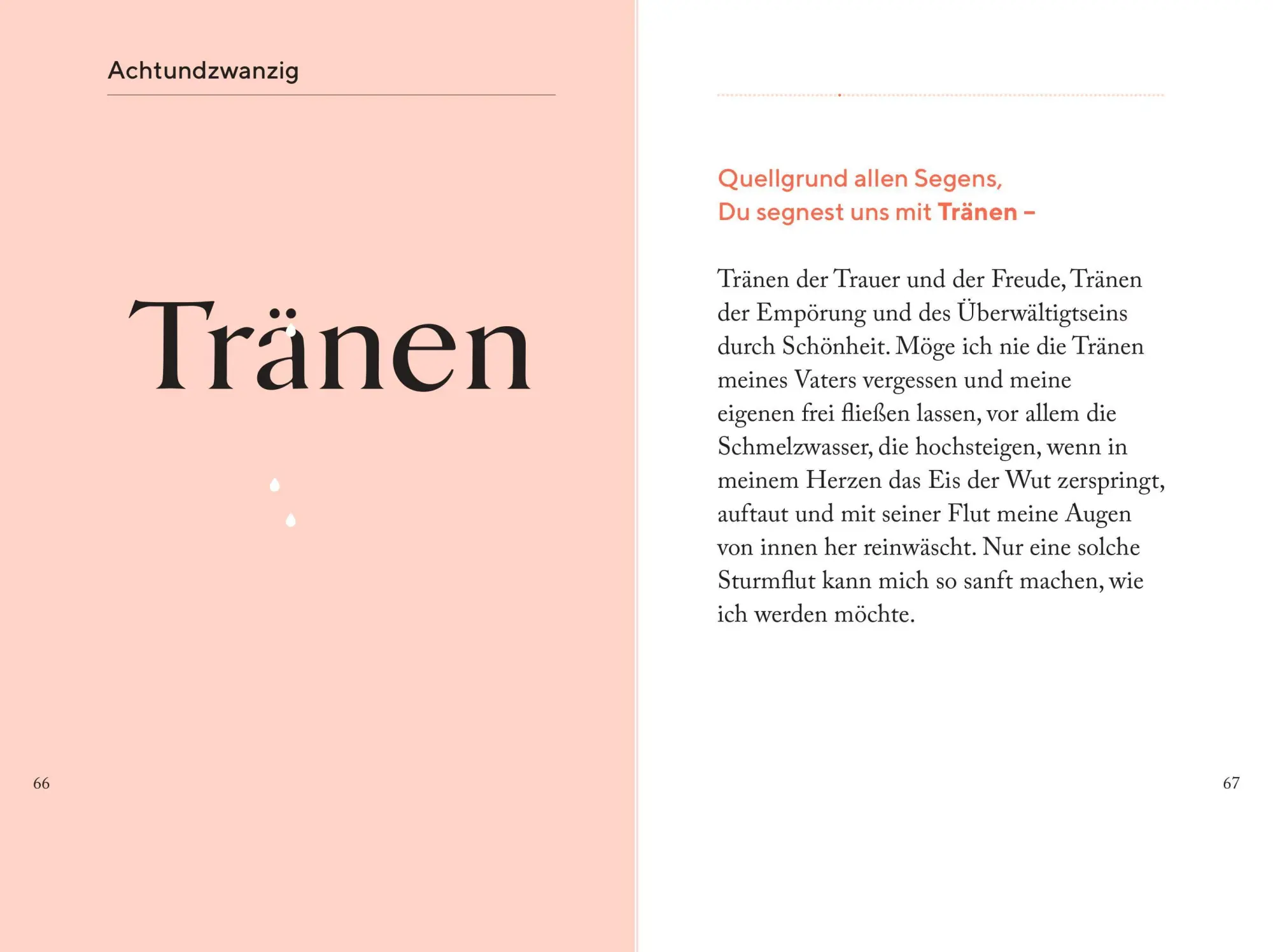 Bild: 9783708808260 | Die Kraft des Staunens | Der Schönheit der Welt begegnen | Buch | 2022
