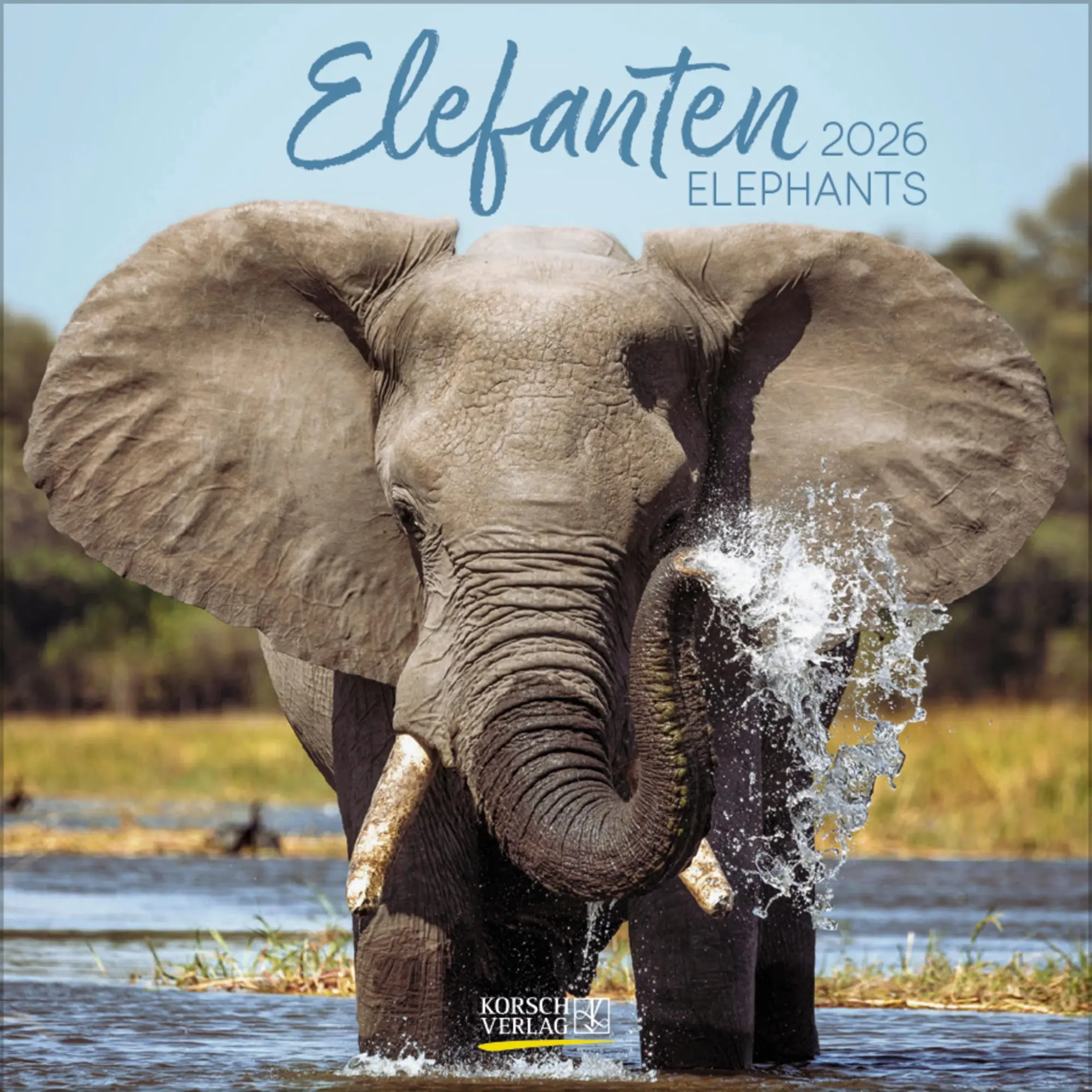 Cover: 9783731888260 | Elefanten 2026 | Verlag Korsch | Kalender | 13 S. | Deutsch | 2026
