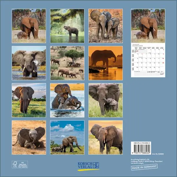 Bild: 9783731888260 | Elefanten 2026 | Verlag Korsch | Kalender | 13 S. | Deutsch | 2026