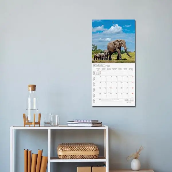 Bild: 9783731888260 | Elefanten 2026 | Verlag Korsch | Kalender | 13 S. | Deutsch | 2026