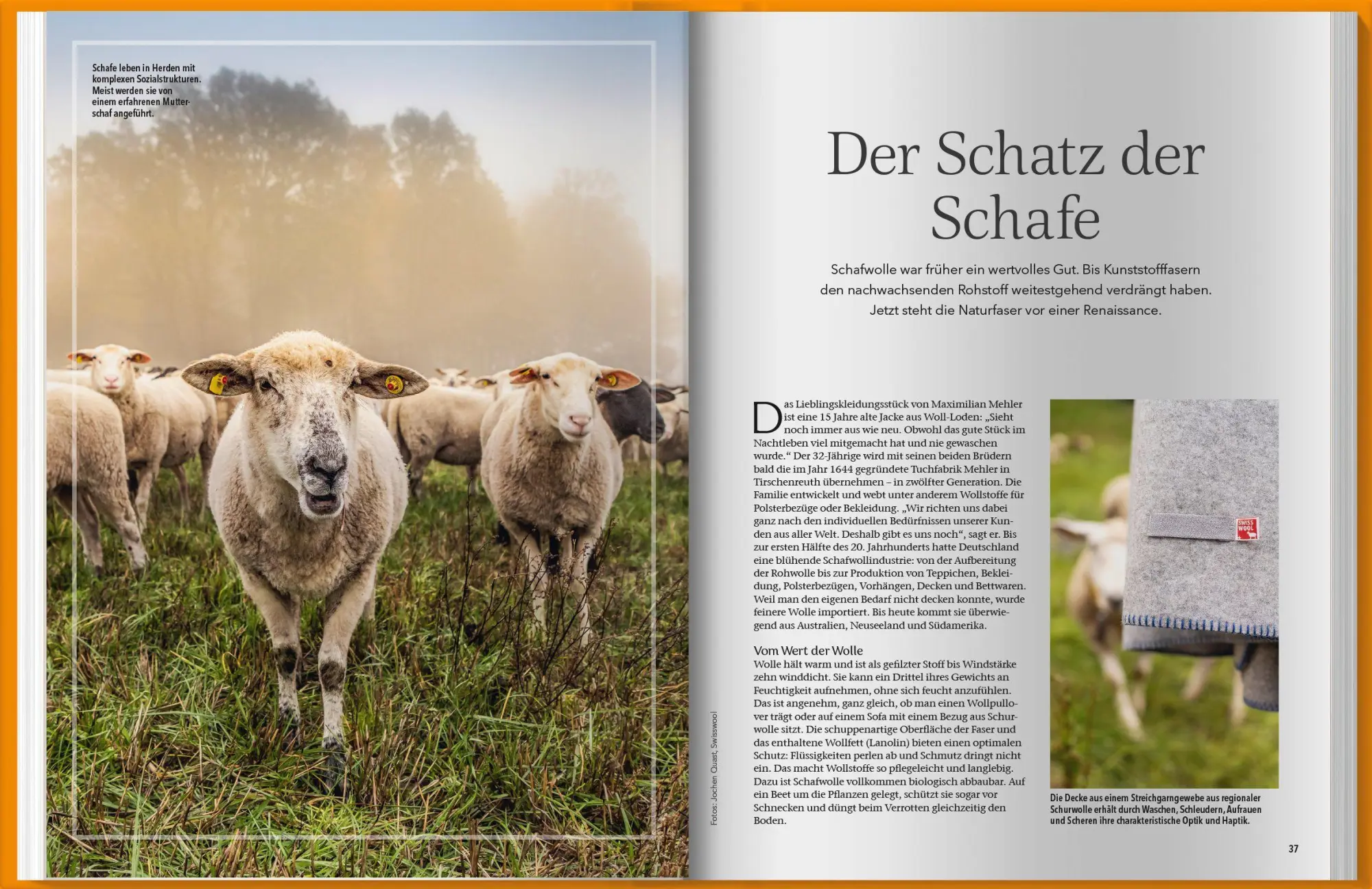 Bild: 9783784358260 | Landlust Stricken | Landlust | Buch | 128 S. | Deutsch | 2026