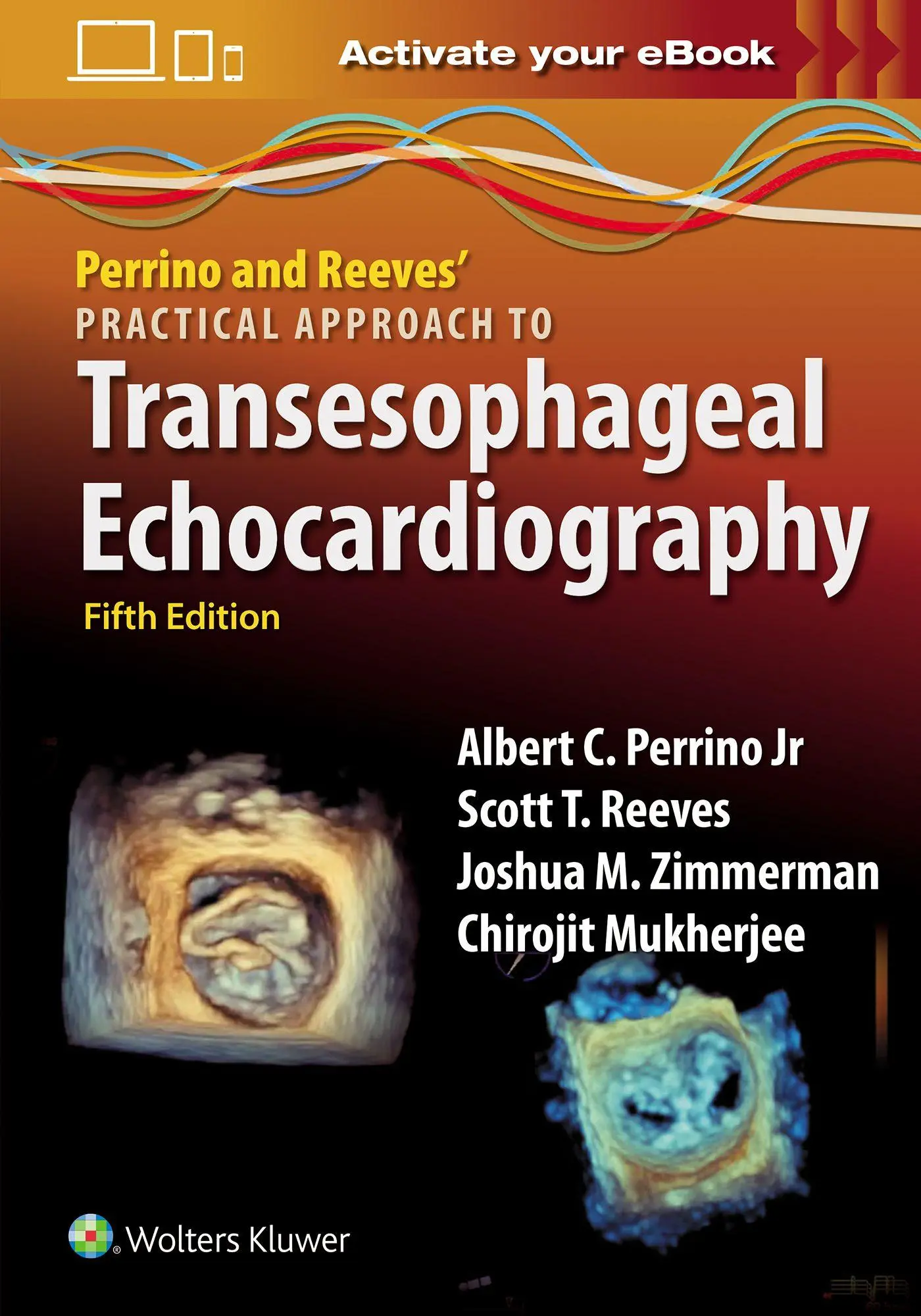 Cover: 9781975238360 | Perrino and Reeves' Practical Approach to Transesophageal...