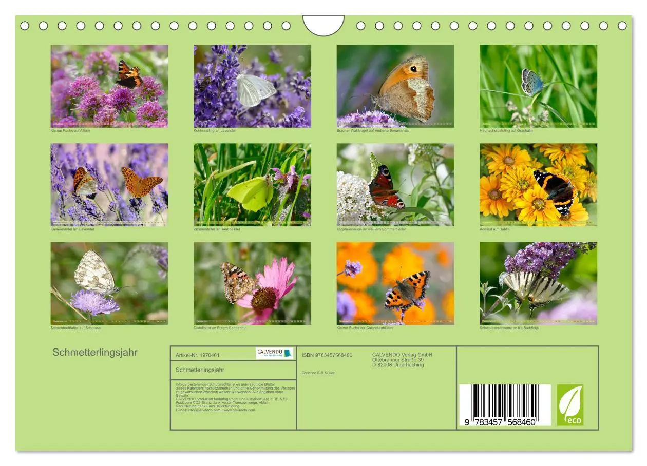 Bild: 9783457568460 | Schmetterlingsjahr (Wandkalender 2026 DIN A4 quer), CALVENDO...