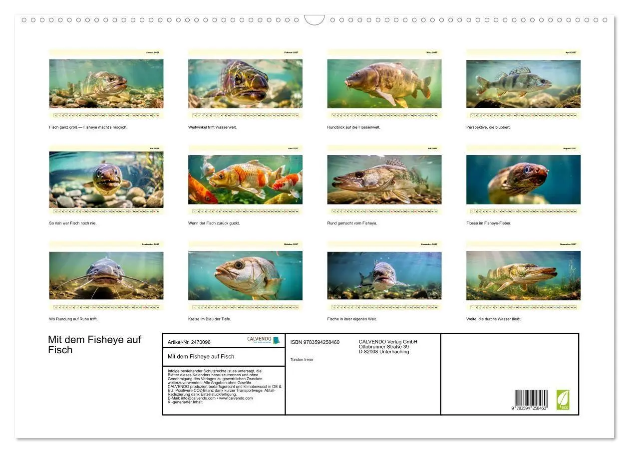 Bild: 9783594258460 | Mit dem Fisheye auf Fisch (Wandkalender 2027 DIN A2 quer), CALVENDO...