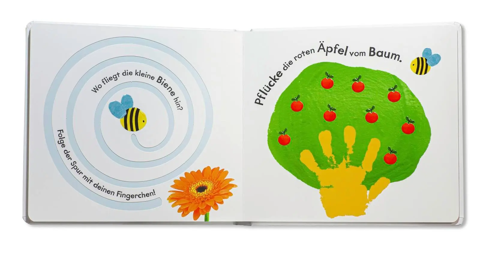 Bild: 9783737358460 | Glücksfisch: Sehen, Tasten, Fühlen: Mach mit! | Ellie Boultwood | Buch