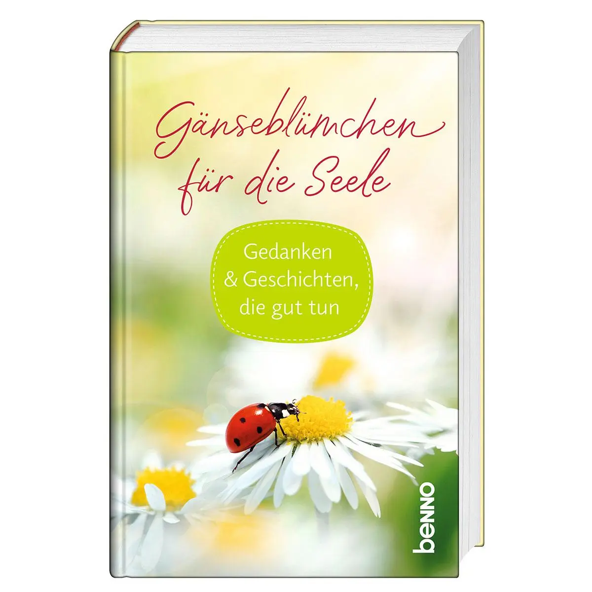 Cover: 9783746268460 | Gänseblümchen für die Seele | Gedanken &amp; Geschichten, die gut tun