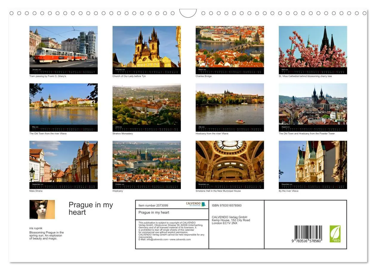 Bild: 9783516578560 | Prague in my heart (Wall Calendar 2026 DIN A3 landscape), CALVENDO...