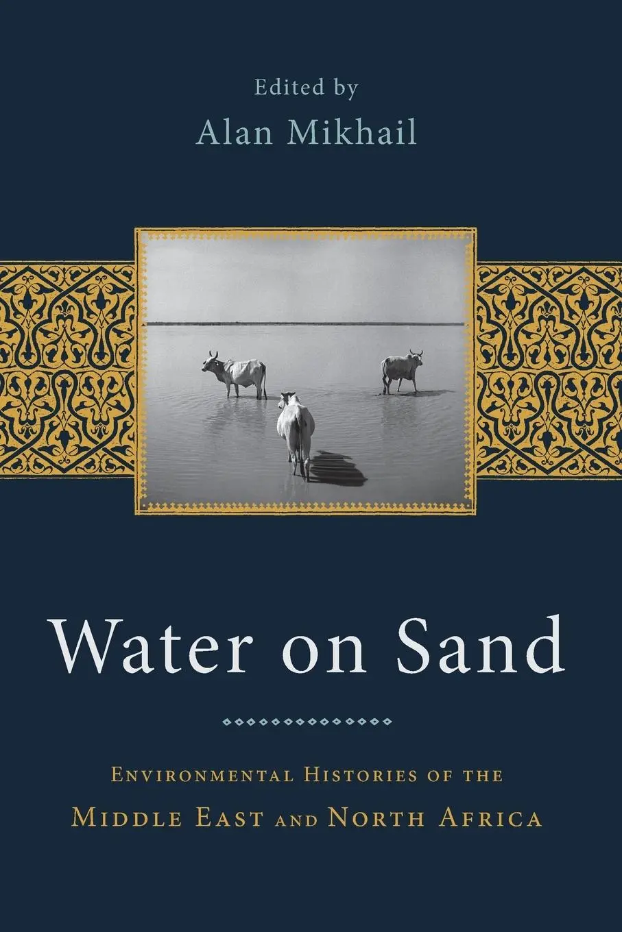 Cover: 9780199768660 | Water on Sand | Alan Mikhail | Taschenbuch | Englisch | 2012
