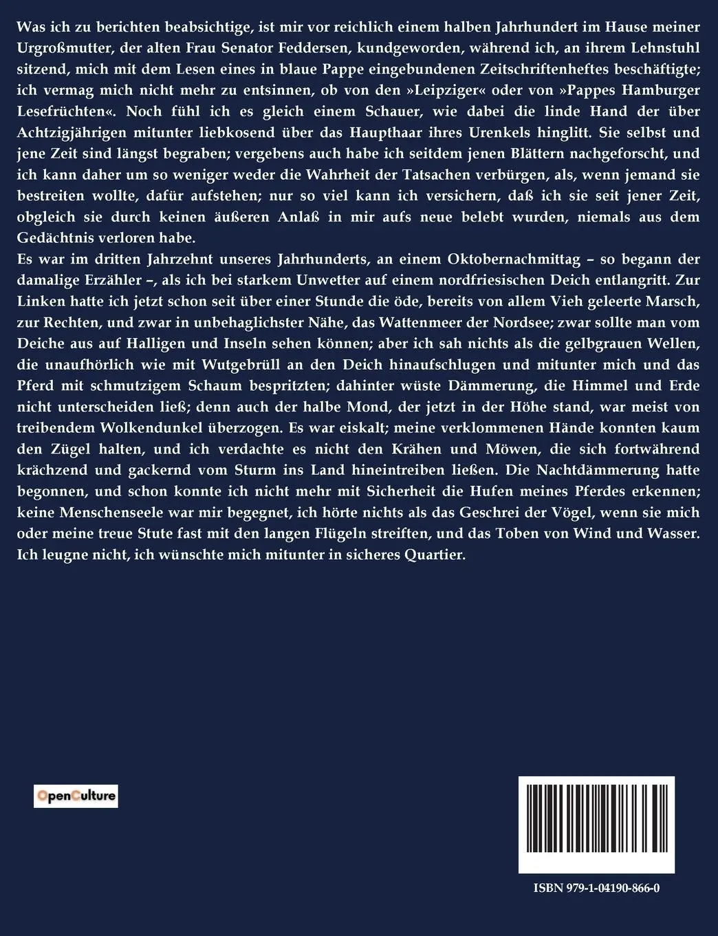Rückseite: 9791041908660 | Der Schimmelreiter | Theodor Storm | Taschenbuch | 76 S. | Deutsch